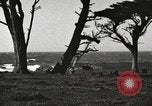 Standbild chinesischen Dschunke California United States USA, 1917, aus Sekunde 13 historischem Filmmaterial Videoclip 65675066834