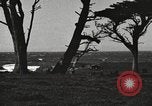 Standbild chinesischen Dschunke California United States USA, 1917, aus Sekunde 14 historischem Filmmaterial Videoclip 65675066834