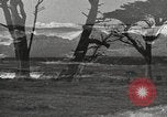 Standbild chinesischen Dschunke California United States USA, 1917, aus Sekunde 17 historischem Filmmaterial Videoclip 65675066834