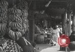 Immagine di Strade New Orleans Louisiana USA, 1917, secondo 17 filmato di repertorio 65675066845