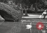 Image of City Park New Orleans Louisiana USA, 1917, second 4 stock footage video 65675066847