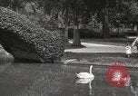 Image of City Park New Orleans Louisiana USA, 1917, second 5 stock footage video 65675066847