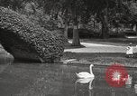 Image of City Park New Orleans Louisiana USA, 1917, second 6 stock footage video 65675066847