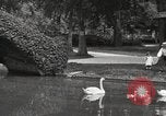 Image of City Park New Orleans Louisiana USA, 1917, second 7 stock footage video 65675066847