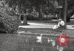 Image of City Park New Orleans Louisiana USA, 1917, second 11 stock footage video 65675066847