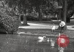 Image of City Park New Orleans Louisiana USA, 1917, second 12 stock footage video 65675066847