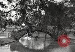 Image of City Park New Orleans Louisiana USA, 1917, second 15 stock footage video 65675066847