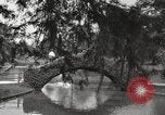 Image of City Park New Orleans Louisiana USA, 1917, second 16 stock footage video 65675066847