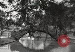 Image of City Park New Orleans Louisiana USA, 1917, second 17 stock footage video 65675066847