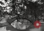 Image of City Park New Orleans Louisiana USA, 1917, second 20 stock footage video 65675066847