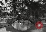 Image of City Park New Orleans Louisiana USA, 1917, second 21 stock footage video 65675066847