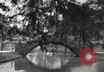 Image of City Park New Orleans Louisiana USA, 1917, second 22 stock footage video 65675066847