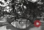 Image of City Park New Orleans Louisiana USA, 1917, second 24 stock footage video 65675066847
