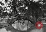 Image of City Park New Orleans Louisiana USA, 1917, second 27 stock footage video 65675066847