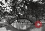 Image of City Park New Orleans Louisiana USA, 1917, second 28 stock footage video 65675066847