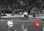 Image of City Park New Orleans Louisiana USA, 1917, second 31 stock footage video 65675066847