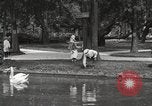Image of City Park New Orleans Louisiana USA, 1917, second 39 stock footage video 65675066847