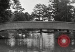 Image of City Park New Orleans Louisiana USA, 1917, second 44 stock footage video 65675066847