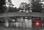 Image of City Park New Orleans Louisiana USA, 1917, second 45 stock footage video 65675066847