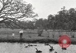 Image of City Park New Orleans Louisiana USA, 1917, second 50 stock footage video 65675066847