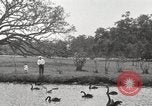 Image of City Park New Orleans Louisiana USA, 1917, second 55 stock footage video 65675066847