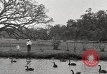 Image of City Park New Orleans Louisiana USA, 1917, second 58 stock footage video 65675066847