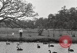 Image of City Park New Orleans Louisiana USA, 1917, second 59 stock footage video 65675066847