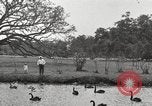 Image of City Park New Orleans Louisiana USA, 1917, second 60 stock footage video 65675066847