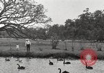 Image of City Park New Orleans Louisiana USA, 1917, second 61 stock footage video 65675066847