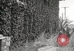 Immagine di Luther Burbank Santa Rosa California USA, 1917, secondo 43 filmato di repertorio 65675066854