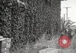 Immagine di Luther Burbank Santa Rosa California USA, 1917, secondo 45 filmato di repertorio 65675066854