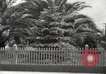 Immagine di Luther Burbank Santa Rosa California USA, 1917, secondo 50 filmato di repertorio 65675066854