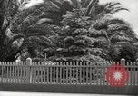 Immagine di Luther Burbank Santa Rosa California USA, 1917, secondo 52 filmato di repertorio 65675066854