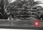 Immagine di Luther Burbank Santa Rosa California USA, 1917, secondo 53 filmato di repertorio 65675066854