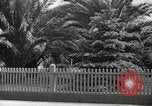 Immagine di Luther Burbank Santa Rosa California USA, 1917, secondo 55 filmato di repertorio 65675066854