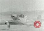 Image of A-36 Invader aircraft North Africa, 1943, second 45 stock footage video 65675066874