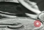 Standbild Fässer Sizilien Italien, 1943, aus Sekunde 57 historischem Filmmaterial Videoclip 65675066875