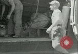 Immagine di Le bombe Il Nord Africa, 1943, secondo 21 filmato di repertorio 65675066876