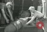 Immagine di Le bombe Il Nord Africa, 1943, secondo 29 filmato di repertorio 65675066876