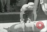 Immagine di Le bombe Il Nord Africa, 1943, secondo 31 filmato di repertorio 65675066876