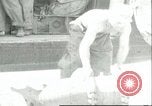 Immagine di Le bombe Il Nord Africa, 1943, secondo 32 filmato di repertorio 65675066876