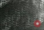 Standbild Bombenabwürfe Sizilien Italien, 1943, aus Sekunde 28 historischem Filmmaterial Videoclip 65675066877