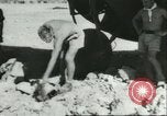 Image of damaged Nazi aircraft Sicily Italy, 1943, second 45 stock footage video 65675066878