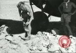 Image of damaged Nazi aircraft Sicily Italy, 1943, second 52 stock footage video 65675066878