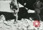 Image of damaged Nazi aircraft Sicily Italy, 1943, second 53 stock footage video 65675066878