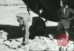 Image of damaged Nazi aircraft Sicily Italy, 1943, second 57 stock footage video 65675066878