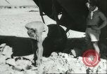 Image of damaged Nazi aircraft Sicily Italy, 1943, second 58 stock footage video 65675066878