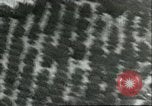 Standbild Bombenabwürfe Sizilien Italien, 1943, aus Sekunde 45 historischem Filmmaterial Videoclip 65675066880