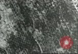 Standbild Bombenabwürfe Sizilien Italien, 1943, aus Sekunde 58 historischem Filmmaterial Videoclip 65675066880