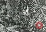 Standbild Bombenabwürfe Sizilien Italien, 1943, aus Sekunde 59 historischem Filmmaterial Videoclip 65675066880